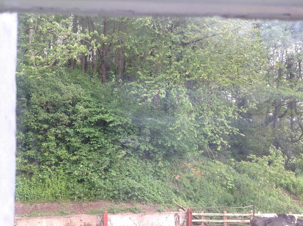 Bach Y Graig Hotel St Asaph Ruang foto