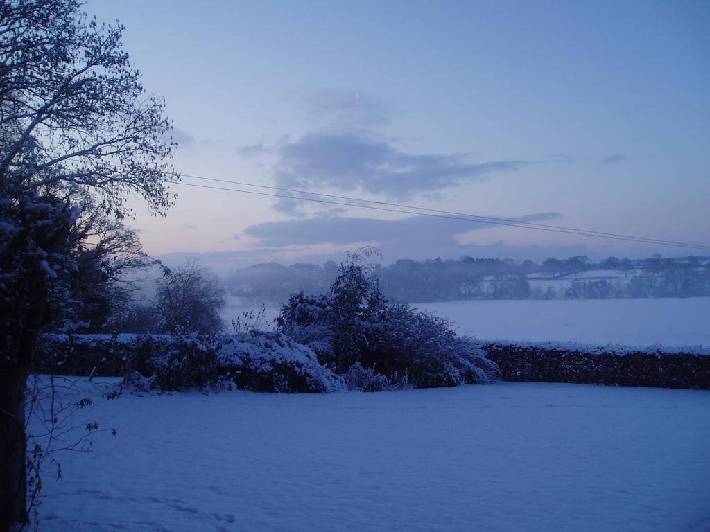Bach Y Graig Hotel St Asaph Bagian luar foto