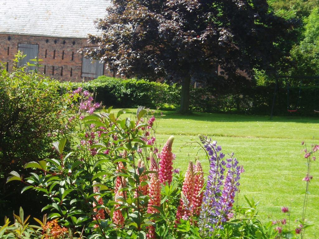 Bach Y Graig Hotel St Asaph Ruang foto