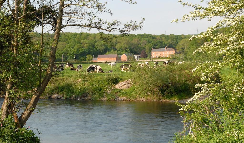 Bach Y Graig Hotel St Asaph Bagian luar foto