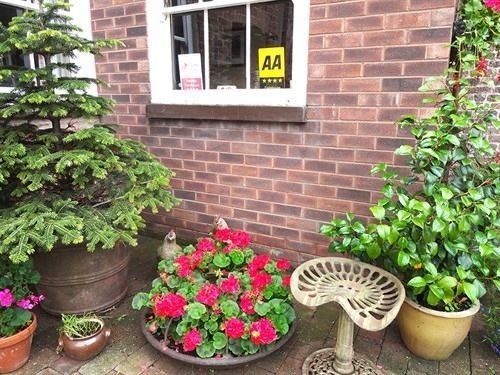 Bach Y Graig Hotel St Asaph Bagian luar foto